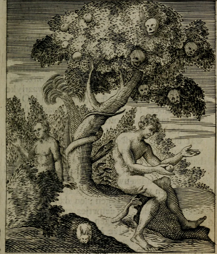 An illustration from De kapelle der dooden, of, De algemeene doodenspiegel : in welken all menschen, van wat staat of rang zy zyn mogen, zich tot hun nut konnen beschouwen : om indagtig ti zyn het memento mori, gedenkt te sterven ..., 1737, leaf 30