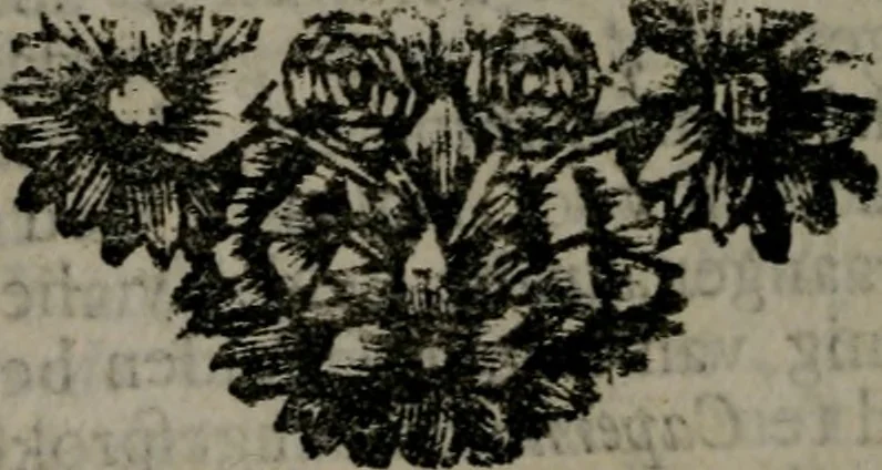 An illustration from De kapelle der dooden, of, De algemeene doodenspiegel : in welken all menschen, van wat staat of rang zy zyn mogen, zich tot hun nut konnen beschouwen : om indagtig ti zyn het memento mori, gedenkt te sterven ..., 1737, leaf 309