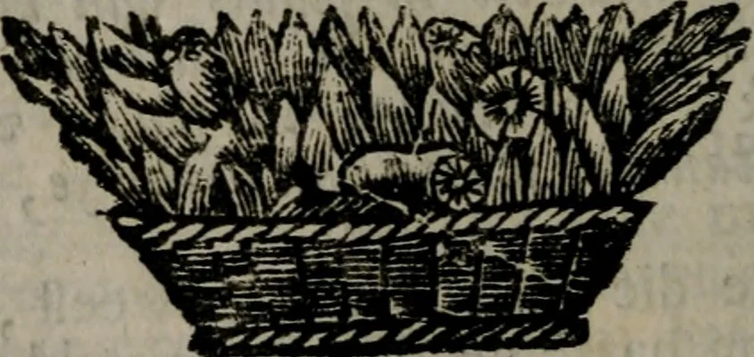 An illustration from De kapelle der dooden, of, De algemeene doodenspiegel : in welken all menschen, van wat staat of rang zy zyn mogen, zich tot hun nut konnen beschouwen : om indagtig ti zyn het memento mori, gedenkt te sterven ..., 1737, leaf 321