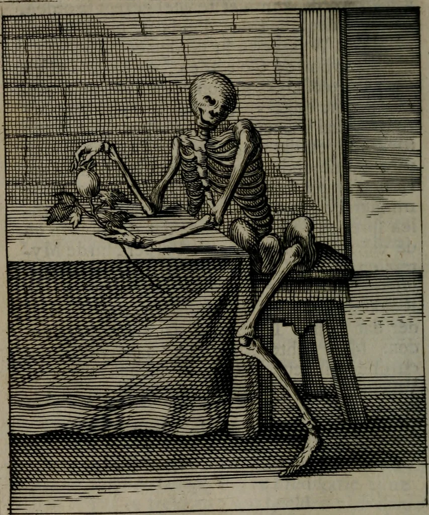 An illustration from De kapelle der dooden, of, De algemeene doodenspiegel : in welken all menschen, van wat staat of rang zy zyn mogen, zich tot hun nut konnen beschouwen : om indagtig ti zyn het memento mori, gedenkt te sterven ..., 1737, leaf 39