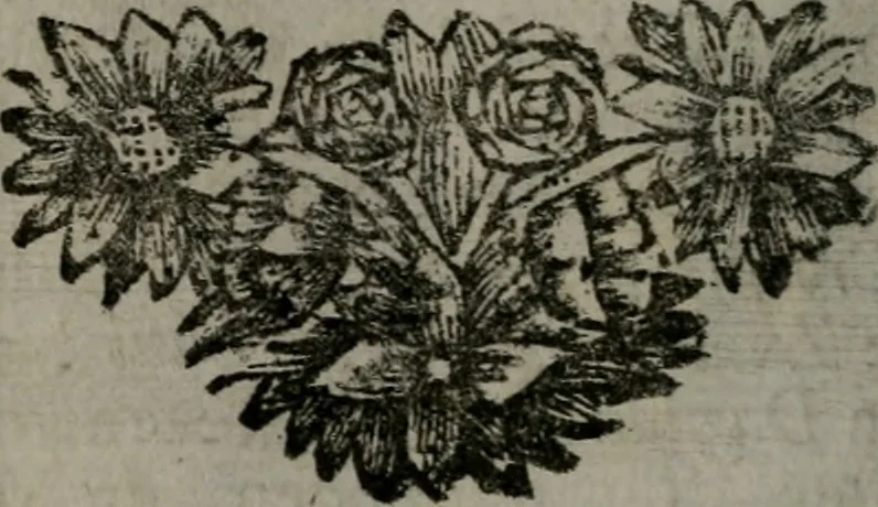 An illustration from De kapelle der dooden, of, De algemeene doodenspiegel : in welken all menschen, van wat staat of rang zy zyn mogen, zich tot hun nut konnen beschouwen : om indagtig ti zyn het memento mori, gedenkt te sterven ..., 1737, leaf 41