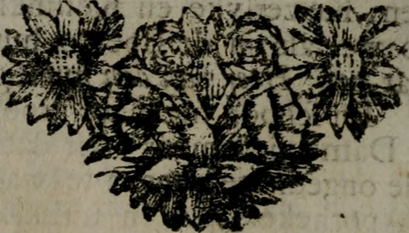 An illustration from De kapelle der dooden, of, De algemeene doodenspiegel : in welken all menschen, van wat staat of rang zy zyn mogen, zich tot hun nut konnen beschouwen : om indagtig ti zyn het memento mori, gedenkt te sterven ..., 1737, leaf 63