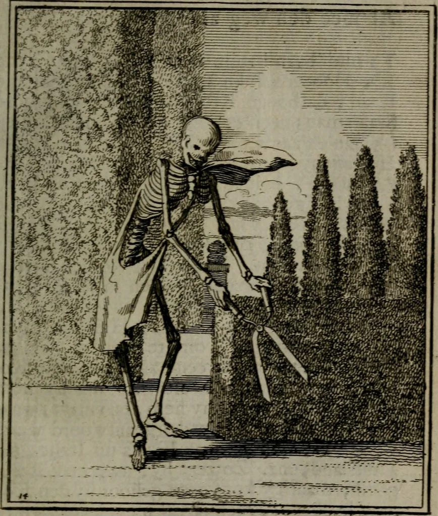 An illustration from De kapelle der dooden, of, De algemeene doodenspiegel : in welken all menschen, van wat staat of rang zy zyn mogen, zich tot hun nut konnen beschouwen : om indagtig ti zyn het memento mori, gedenkt te sterven ..., 1737, leaf 80