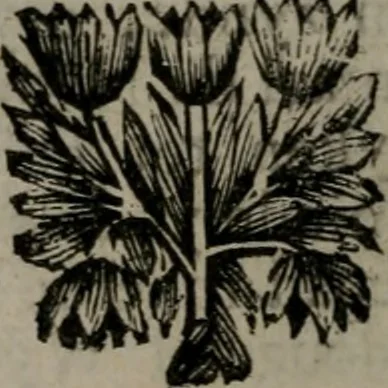 An illustration from De kapelle der dooden, of, De algemeene doodenspiegel : in welken all menschen, van wat staat of rang zy zyn mogen, zich tot hun nut konnen beschouwen : om indagtig ti zyn het memento mori, gedenkt te sterven ..., 1737, leaf 93
