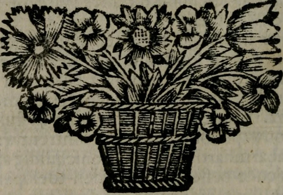 An illustration from De kapelle der dooden, of, De algemeene doodenspiegel : in welken all menschen, van wat staat of rang zy zyn mogen, zich tot hun nut konnen beschouwen : om indagtig ti zyn het memento mori, gedenkt te sterven ..., 1737, leaf 97