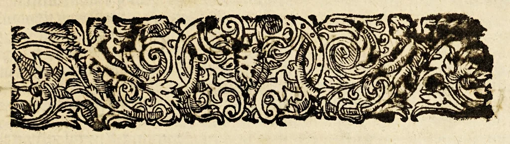 An illustration from De kleyne wonderlijcke werelt, : bestaende in dese keyserrijken, coningrijken en landen, als Turckyen, Hungaryen, Poolen, Ruslant, Bohemen, Oostenrijck, Duytschlant, Hispanien, Vranckrijck, Italien, Engelandt, het Landt van Beloften, het Nieuwe Ierusalem en Bresilien., 1649, leaf 23