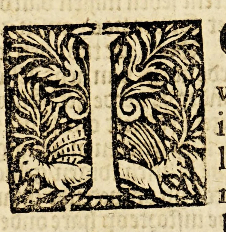 An illustration from De kleyne wonderlijcke werelt, : bestaende in dese keyserrijken, coningrijken en landen, als Turckyen, Hungaryen, Poolen, Ruslant, Bohemen, Oostenrijck, Duytschlant, Hispanien, Vranckrijck, Italien, Engelandt, het Landt van Beloften, het Nieuwe Ierusalem en Bresilien., 1649, leaf 23