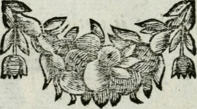 An illustration from De konincklycke triumphe : vertoonende alle de eerpoorten, met desselfs besondere sinne-beelden, en hare beschryvinge, ten getale van in de 60, opgerecht in s' Gravenhage 1691 ter eere van Willem de III koningh van Groot Brittanjen, 1691, leaf 123