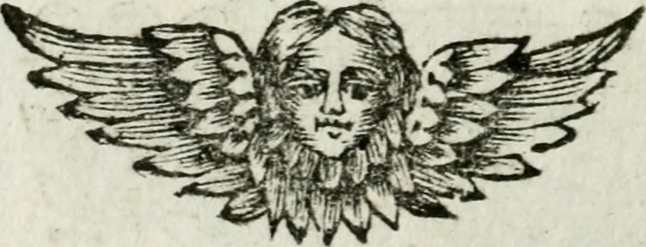 An illustration from De konincklycke triumphe : vertoonende alle de eerpoorten, met desselfs besondere sinne-beelden, en hare beschryvinge, ten getale van in de 60, opgerecht in s' Gravenhage 1691 ter eere van Willem de III koningh van Groot Brittanjen, 1691, leaf 153