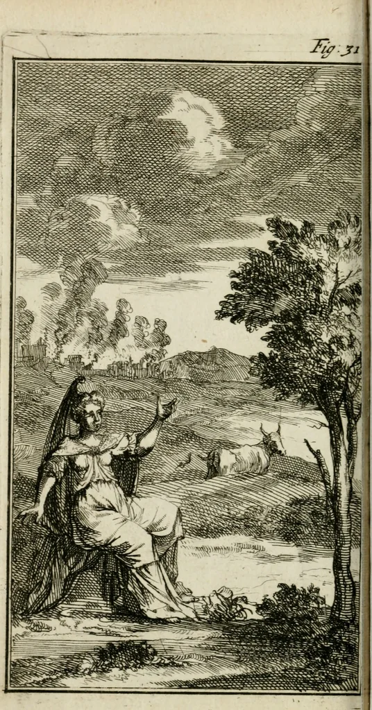 An illustration from De konincklycke triumphe : vertoonende alle de eerpoorten, met desselfs besondere sinne-beelden, en hare beschryvinge, ten getale van in de 60, opgerecht in s' Gravenhage 1691 ter eere van Willem de III koningh van Groot Brittanjen, 1691, leaf 157