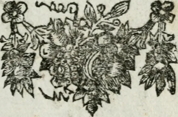 An illustration from De konincklycke triumphe : vertoonende alle de eerpoorten, met desselfs besondere sinne-beelden, en hare beschryvinge, ten getale van in de 60, opgerecht in s' Gravenhage 1691 ter eere van Willem de III koningh van Groot Brittanjen, 1691, leaf 158