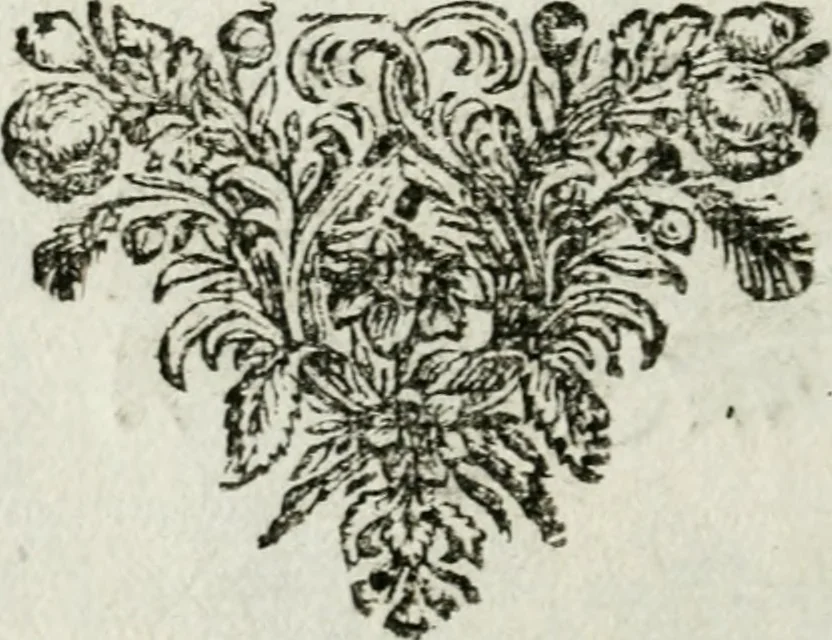An illustration from De konincklycke triumphe : vertoonende alle de eerpoorten, met desselfs besondere sinne-beelden, en hare beschryvinge, ten getale van in de 60, opgerecht in s' Gravenhage 1691 ter eere van Willem de III koningh van Groot Brittanjen, 1691, leaf 159
