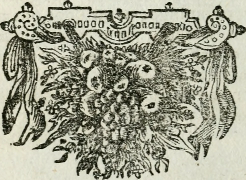 An illustration from De konincklycke triumphe : vertoonende alle de eerpoorten, met desselfs besondere sinne-beelden, en hare beschryvinge, ten getale van in de 60, opgerecht in s' Gravenhage 1691 ter eere van Willem de III koningh van Groot Brittanjen, 1691, leaf 165