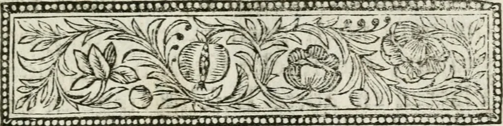 An illustration from De konincklycke triumphe : vertoonende alle de eerpoorten, met desselfs besondere sinne-beelden, en hare beschryvinge, ten getale van in de 60, opgerecht in s' Gravenhage 1691 ter eere van Willem de III koningh van Groot Brittanjen, 1691, leaf 18