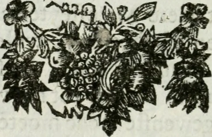 An illustration from De konincklycke triumphe : vertoonende alle de eerpoorten, met desselfs besondere sinne-beelden, en hare beschryvinge, ten getale van in de 60, opgerecht in s' Gravenhage 1691 ter eere van Willem de III koningh van Groot Brittanjen, 1691, leaf 195