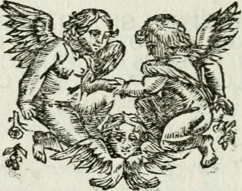 An illustration from De konincklycke triumphe : vertoonende alle de eerpoorten, met desselfs besondere sinne-beelden, en hare beschryvinge, ten getale van in de 60, opgerecht in s' Gravenhage 1691 ter eere van Willem de III koningh van Groot Brittanjen, 1691, leaf 239