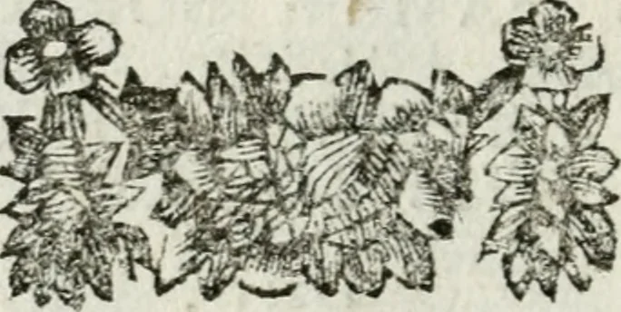 An illustration from De konincklycke triumphe : vertoonende alle de eerpoorten, met desselfs besondere sinne-beelden, en hare beschryvinge, ten getale van in de 60, opgerecht in s' Gravenhage 1691 ter eere van Willem de III koningh van Groot Brittanjen, 1691, leaf 243