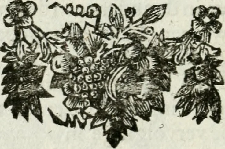 An illustration from De konincklycke triumphe : vertoonende alle de eerpoorten, met desselfs besondere sinne-beelden, en hare beschryvinge, ten getale van in de 60, opgerecht in s' Gravenhage 1691 ter eere van Willem de III koningh van Groot Brittanjen, 1691, leaf 261