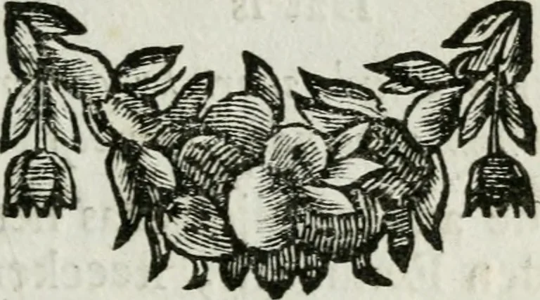 An illustration from De konincklycke triumphe : vertoonende alle de eerpoorten, met desselfs besondere sinne-beelden, en hare beschryvinge, ten getale van in de 60, opgerecht in s' Gravenhage 1691 ter eere van Willem de III koningh van Groot Brittanjen, 1691, leaf 68
