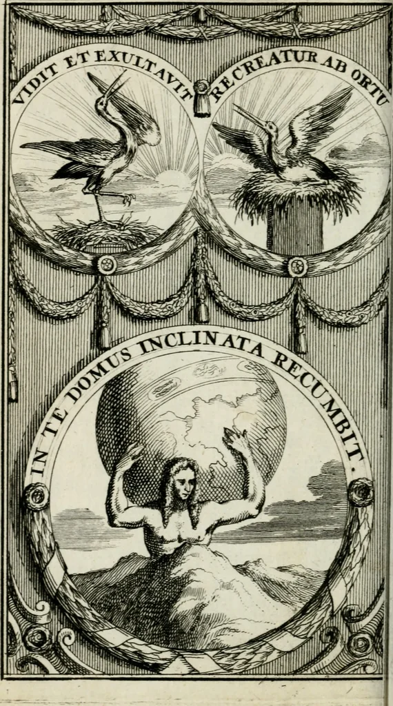 An illustration from De konincklycke triumphe : vertoonende alle de eerpoorten, met desselfs besondere sinne-beelden, en hare beschryvinge, ten getale van in de 60, opgerecht in s' Gravenhage 1691 ter eere van Willem de III koningh van Groot Brittanjen, 1691, leaf 73