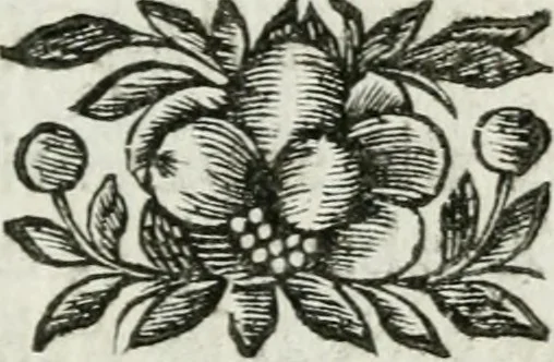 An illustration from De konincklycke triumphe : vertoonende alle de eerpoorten, met desselfs besondere sinne-beelden, en hare beschryvinge, ten getale van in de 60, opgerecht in s' Gravenhage 1691 ter eere van Willem de III koningh van Groot Brittanjen, 1691, leaf 80
