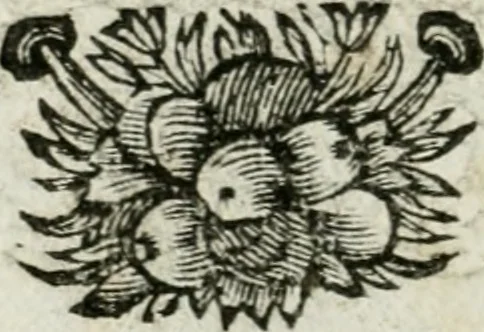 An illustration from De konincklycke triumphe : vertoonende alle de eerpoorten, met desselfs besondere sinne-beelden, en hare beschryvinge, ten getale van in de 60, opgerecht in s' Gravenhage 1691 ter eere van Willem de III koningh van Groot Brittanjen, 1691, leaf 93