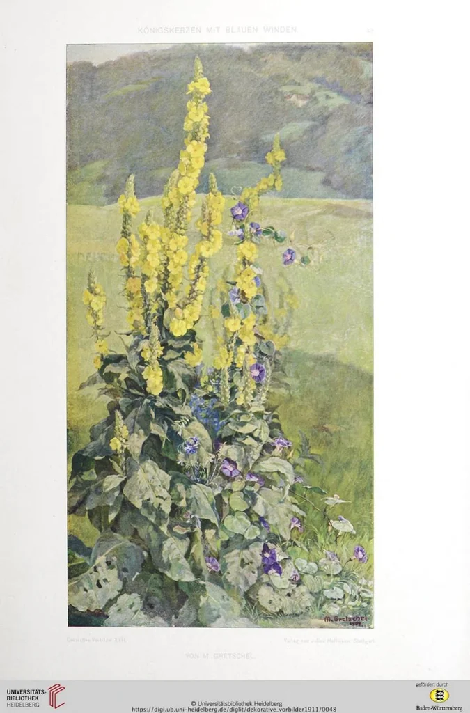 An illustration from 1911 Dekorative Vorbilder: farbige Meisterwerke aus alter und neuer Zeit, 1911, leaf 48