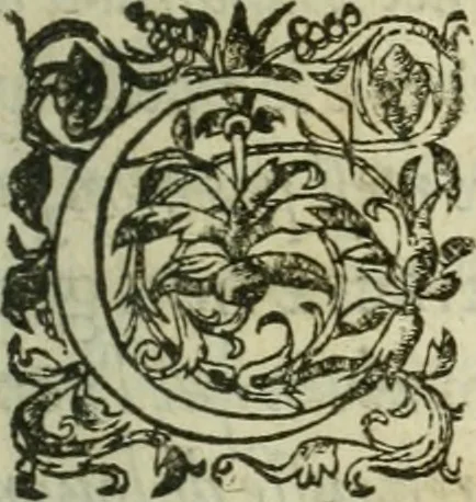 An illustration from De la demonomanie des sorciers, 1580, leaf 12