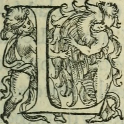 An illustration from De la demonomanie des sorciers, 1580, leaf 136