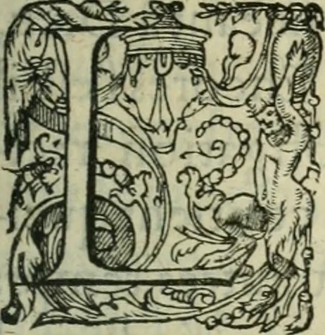 An illustration from De la demonomanie des sorciers, 1580, leaf 192