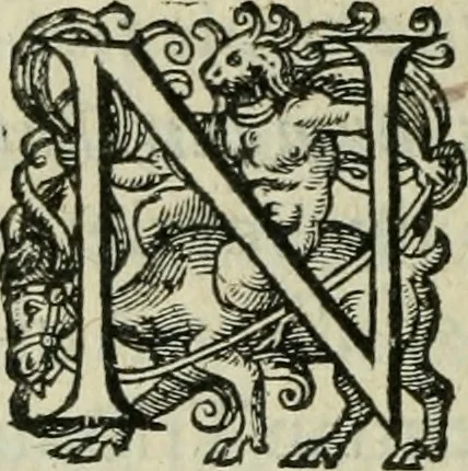An illustration from De la demonomanie des sorciers, 1580, leaf 223