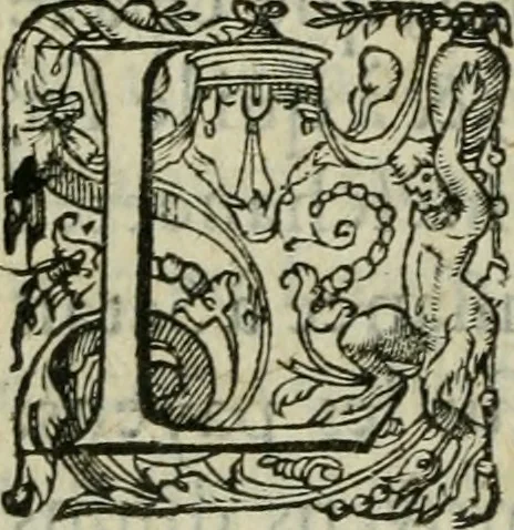 An illustration from De la demonomanie des sorciers, 1580, leaf 271