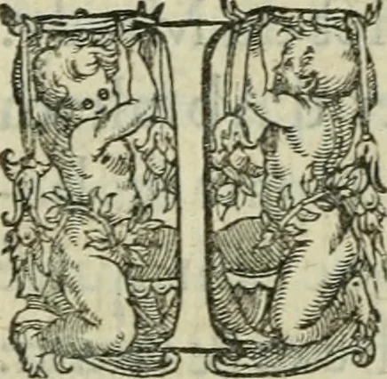 An illustration from De la demonomanie des sorciers, 1580, leaf 289