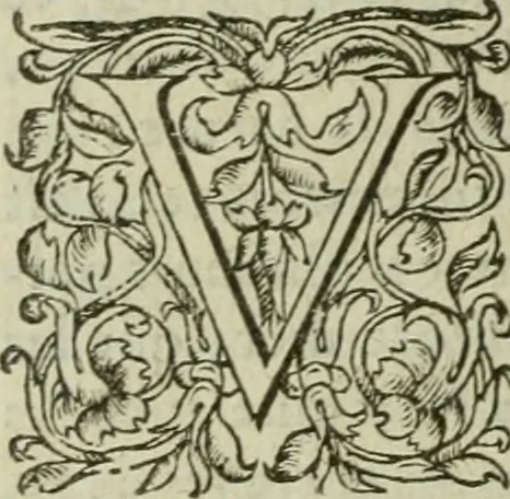 An illustration from De la demonomanie des sorciers, 1580, leaf 31