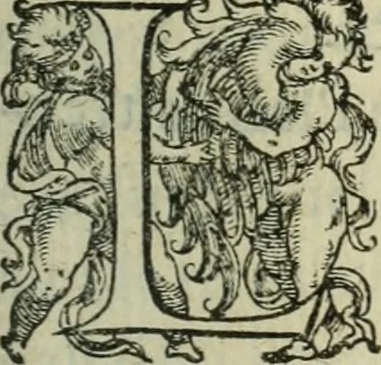 An illustration from De la demonomanie des sorciers, 1580, leaf 312
