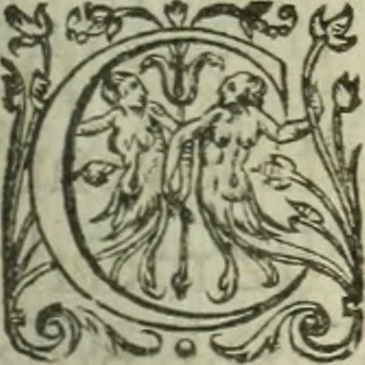 An illustration from De la demonomanie des sorciers, 1580, leaf 322