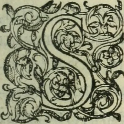An illustration from De la demonomanie des sorciers, 1580, leaf 36