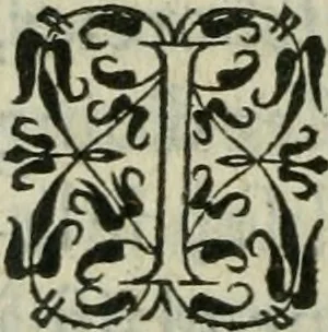An illustration from De la demonomanie des sorciers, 1580, leaf 423