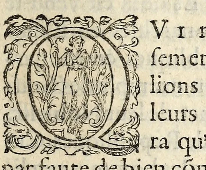 An illustration from De la difference du roy et du tyran ..., 1589, leaf 31