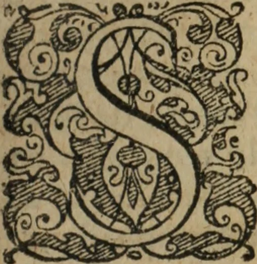 An illustration from De la démonomanie des sorciers, 1593, leaf 34