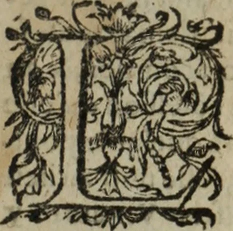 An illustration from De la démonomanie des sorciers, 1593, leaf 8