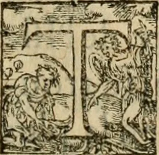 An illustration from De la démonomanie des sorciers .., 1587, leaf 138