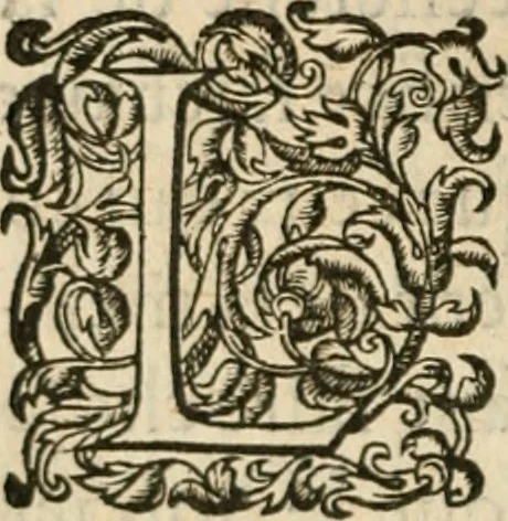 An illustration from De la démonomanie des sorciers .., 1587, leaf 145