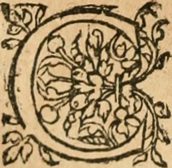 An illustration from De la démonomanie des sorciers .., 1587, leaf 183