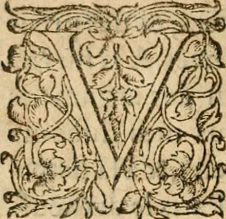An illustration from De la démonomanie des sorciers .., 1587, leaf 29