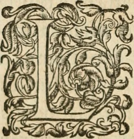 An illustration from De la démonomanie des sorciers .., 1587, leaf 297