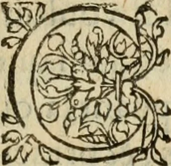An illustration from De la démonomanie des sorciers .., 1587, leaf 328