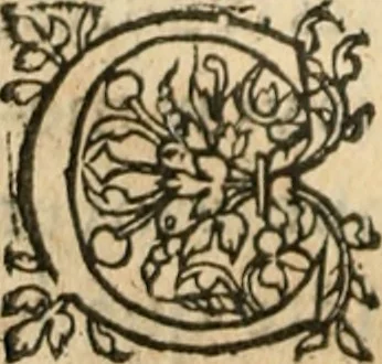 An illustration from De la démonomanie des sorciers .., 1587, leaf 355