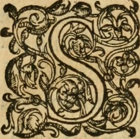 An illustration from De la démonomanie des sorciers .., 1587, leaf 36