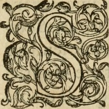 An illustration from De la démonomanie des sorciers .., 1587, leaf 436